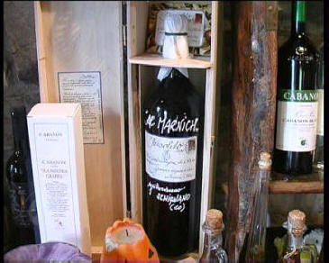 Our extra virgin Tuscan oil!