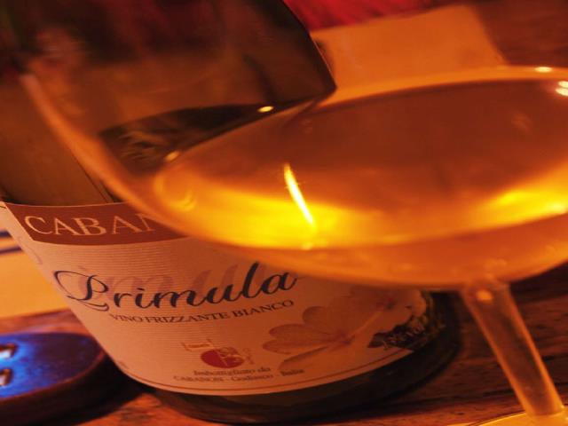 Al-Marnich - Chardonnay BIO - Fattoria Cabanon