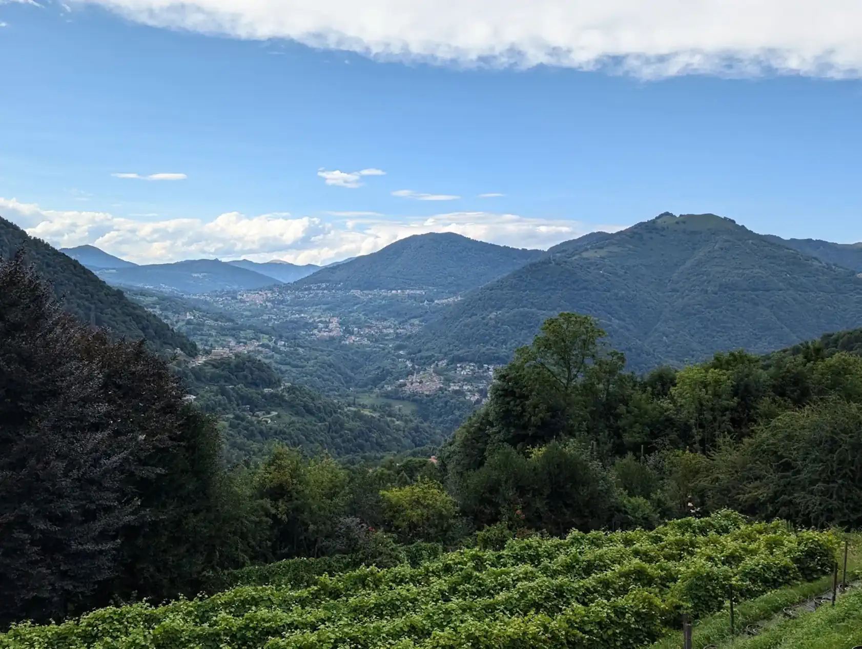 Panorama delle montagne dalla proprietà Panorama delle montagne dalla proprietà